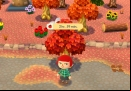 animal-crossing-pocket-camp-tree