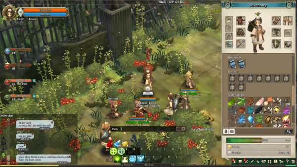 Tree-of-Savior-Dungeon-Groups