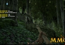 Ark-Survival-Evolved-