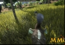Ark-Survival-Evolved-dodo