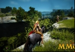 black-desert-online-level