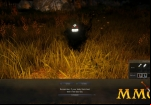 black-desert-online-price
