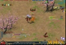 Conquer-Online-50-dmg.jpg