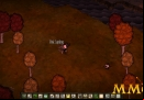 dont-starve-together-sapling