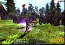 Dragon-Nest-barrier.jpg