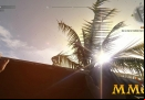 dying-light-light-palm-tree