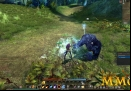 Echo-of-Soul-Agressive-BEar.jpg