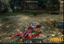 Echo-of-Soul-Loot.jpg