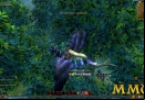 EverQuest-2-Lightshadow-Undergrowth.jpg