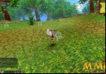 Fiesta-Online-standing