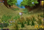 Fiesta-Online-example