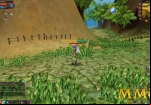 Fiesta-Online-grass