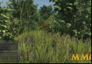 Fishing-Planet-grass