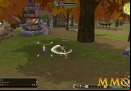 Fly-for-fun-gameplay-flyff-001.jpg