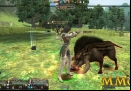 Granado-Espada-hunt-boar