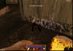 grimoire-manastorm-killed