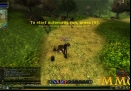 Knight-Online-Battle