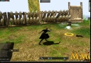 lineage-2-attack.jpg
