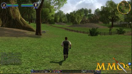 lord-of-the-rings-online-field