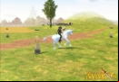 Mabinogi-Double-Mount.jpg