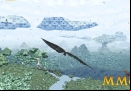 meadow-bird