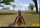 Metin-2-model