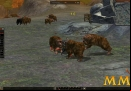 Metin-2-bear