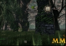 Mortal-Online-environment