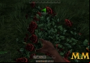 Mortal-Online-gathering
