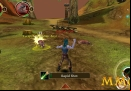 order-chaos-online-shoot