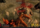 path-of-exile-image