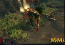 path-of-exile-zoomed-in