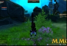 Perfect-World-flip.jpg