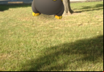 pokemon-go-drowzee