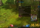 Ragnarok-Online-2-Items.jpg
