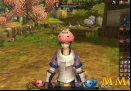 Ragnarok-Online-2-Poring-hat.jpg
