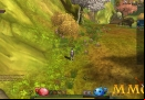 Ragnarok-Online-2-Road.jpg