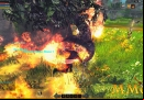 RaiderZ-AoE-Blaze