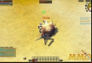 Raiderz-Beach