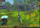 Raiderz-Boars