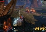 riders-of-icarus-forest-fire