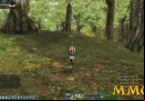 rohan-blood-feud-forest-environment