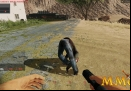 Romeros-Aftermath-mmo