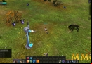 Royal-Quest-fields