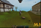 RuneScape-level-up.jpg