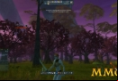 Ryzom-rangers-land