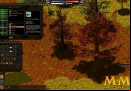 Salem-foliage