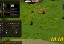 Salem-leveling