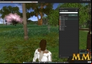 Second-Life-Outfit