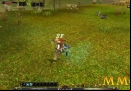 Shaiya-MMORPGs